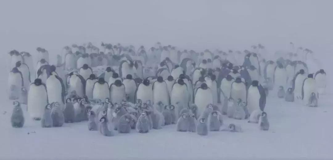 长春家长都领着孩子在干这件事儿,你没做,就落后了!