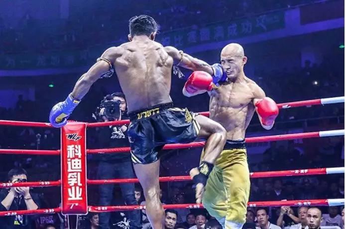 散打王评价一龙全集,一龙最近格斗视频