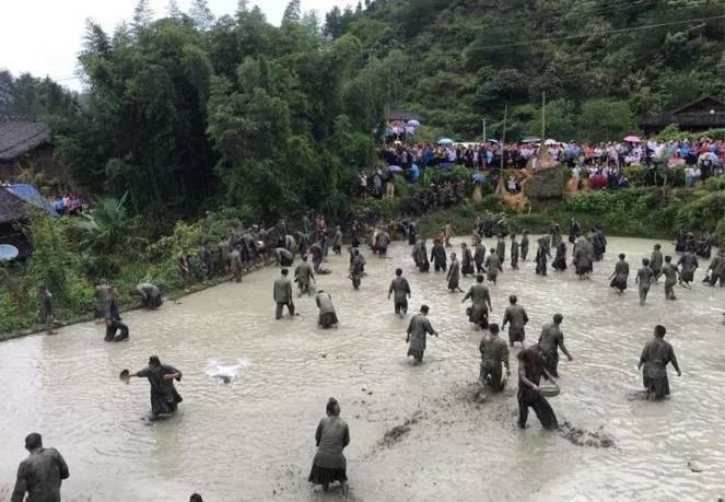 贵州用镰刀剃头的原始部落,偷南瓜是在哪里
