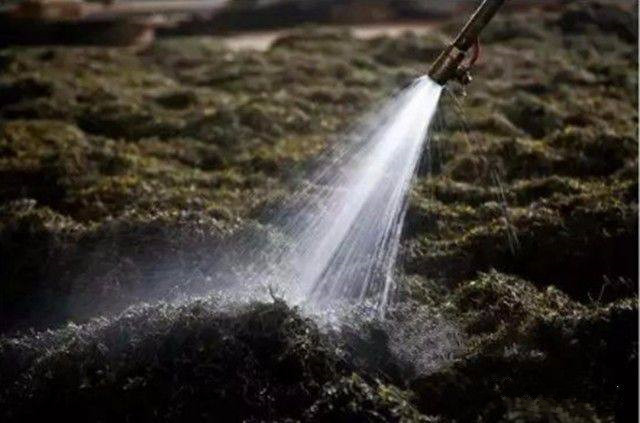 普洱茶紧压技术有哪些特点,普洱茶生茶紧压茶好坏之分