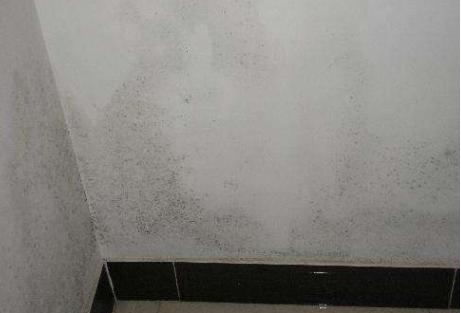 乳胶漆面漆当底漆用了还能补救吗,工人用涂料刷墙