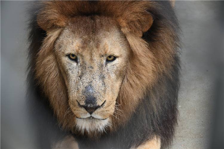 湖州龙之梦主题乐园开放了吗,湖州龙之梦在建项目