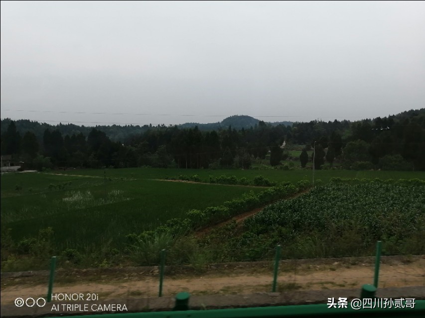 雪宝奶牛场,参观雪兰牛奶工厂心得体会