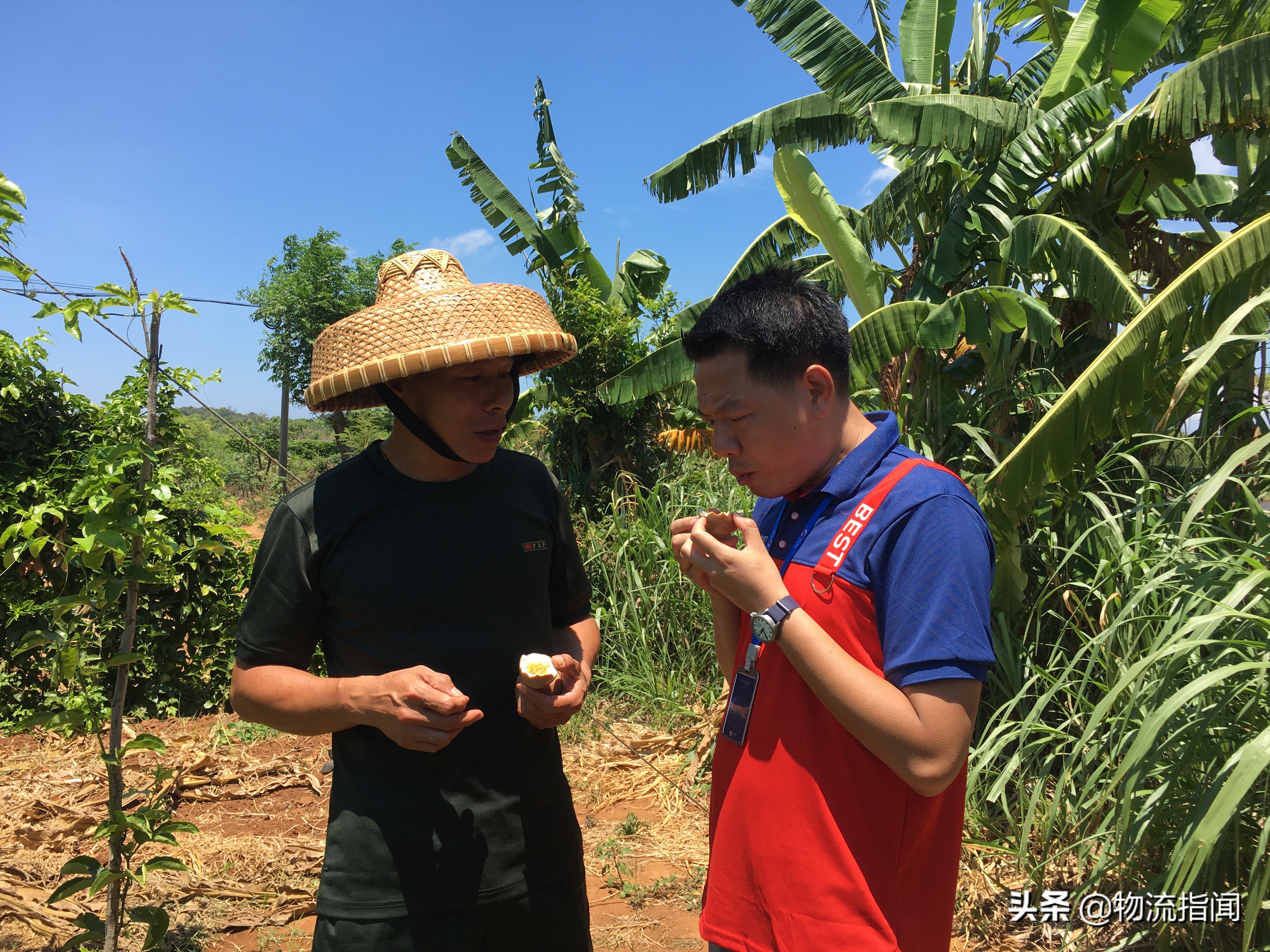 快递创业的项目概况,创业新开店的成功案例