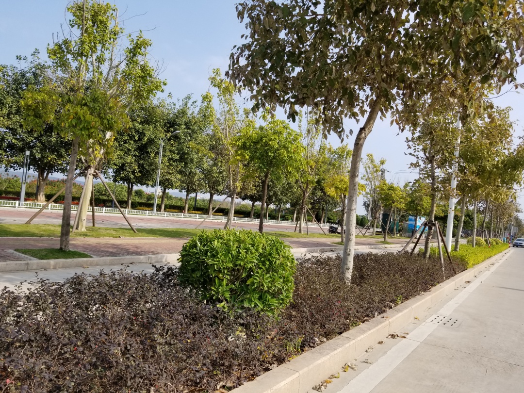 诏安的历史变迁,诏安县历史变化