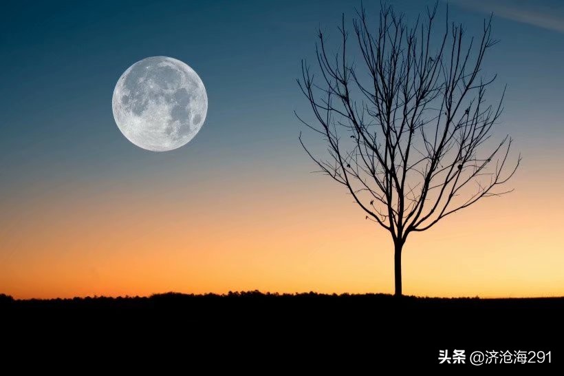 纳兰性德词中主要的十首诗,纳兰性德最孤寂的诗