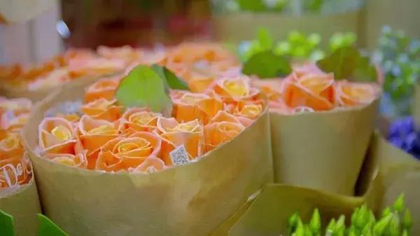 世界第一鲜花市场视频,bbc探秘墨西哥毒品战争