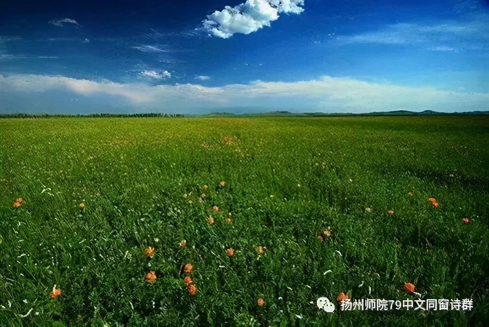 【老师去了,我每年来摩挲老师家的杨柳】