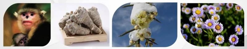 昆明高新区打造生物医药创新中心,昆明发展生物医药