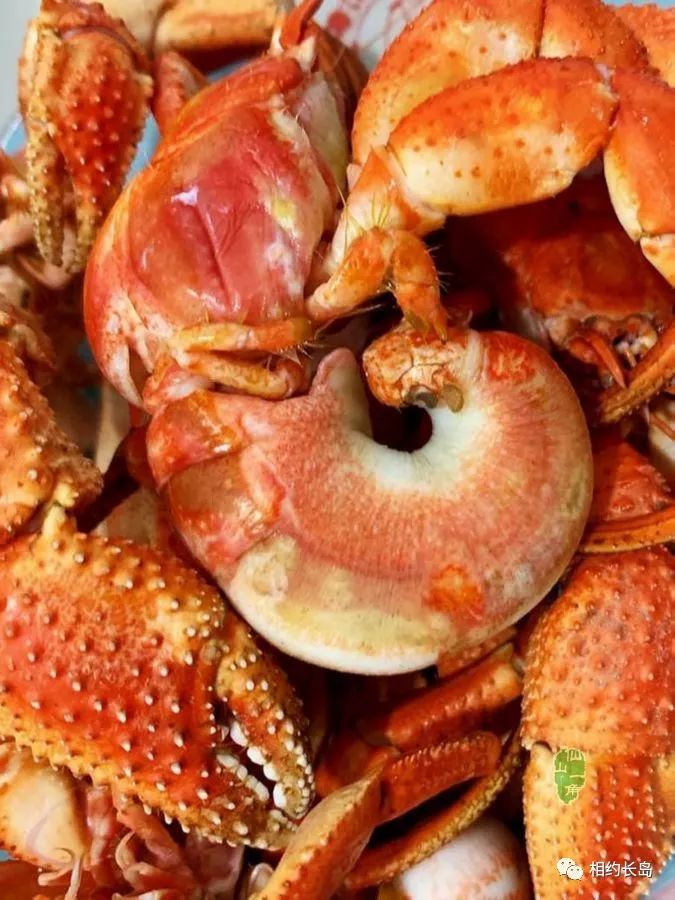 闀垮矝缃戠孩娴烽矞,闀垮矝娴烽矞澶ч鍥剧墖