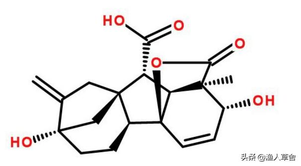 葡萄精细化管理,葡萄产业发展的问题及对策