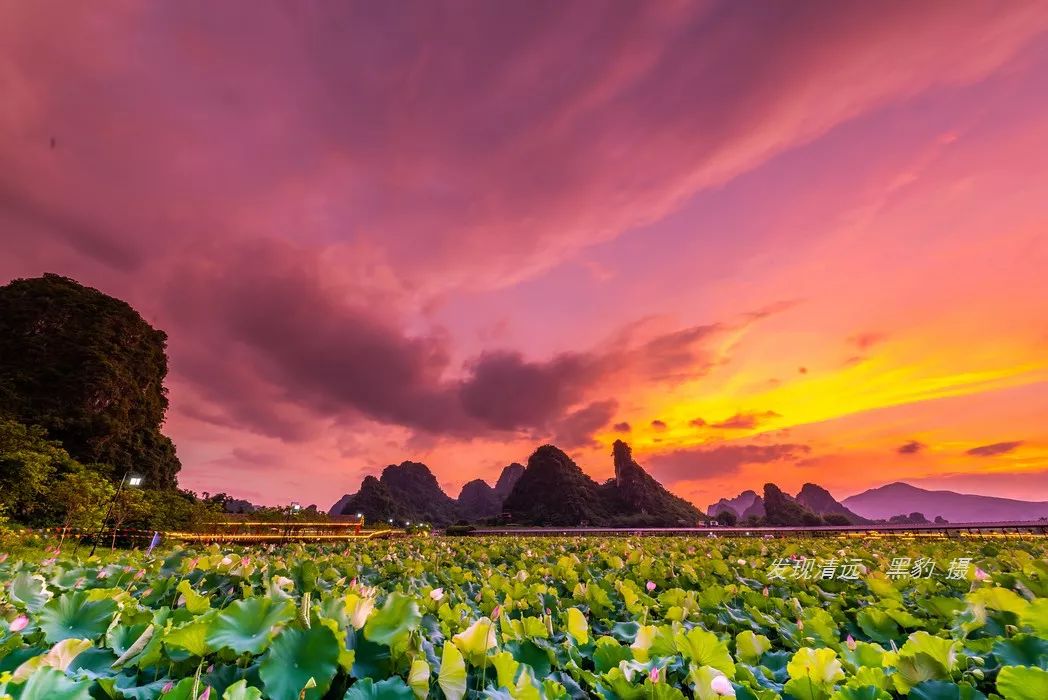 正宗古法烧窑鸡,这里的烧窑鸡口味也是相当的地道