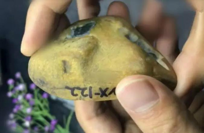 缅甸矿区翡翠原石一刀切出千万元,翡翠原石一刀切开