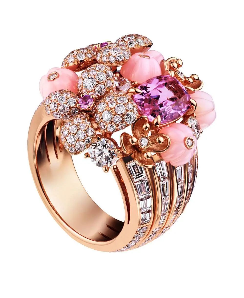 灏氱編宸撮粠鏄庢槦鍚屾,灏氱編宸撮粠棣栭グ娆惧紡鏍囧織