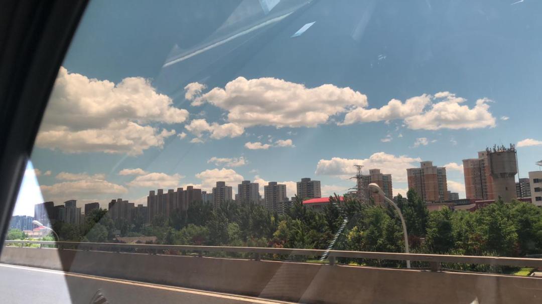 疫情过后园林企业生存现状如何?来看看这位项目经理的一天