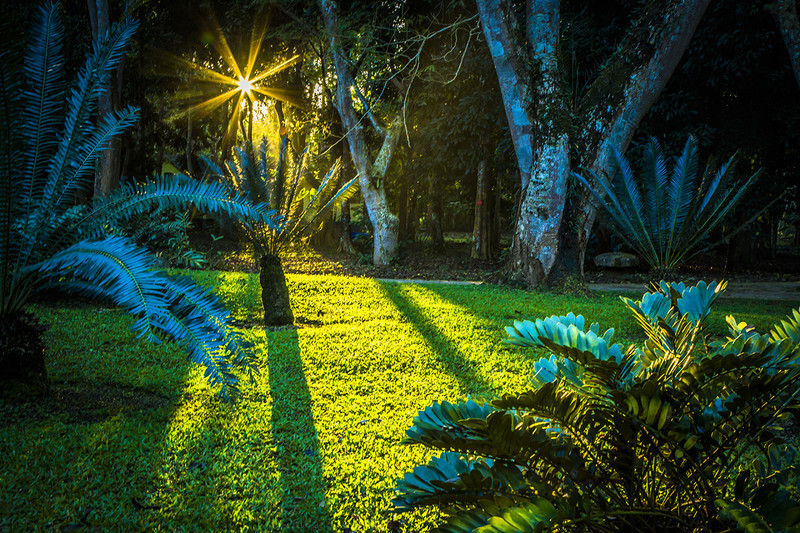 到西双版纳过大年，六日出行超详细吃，住，行攻略