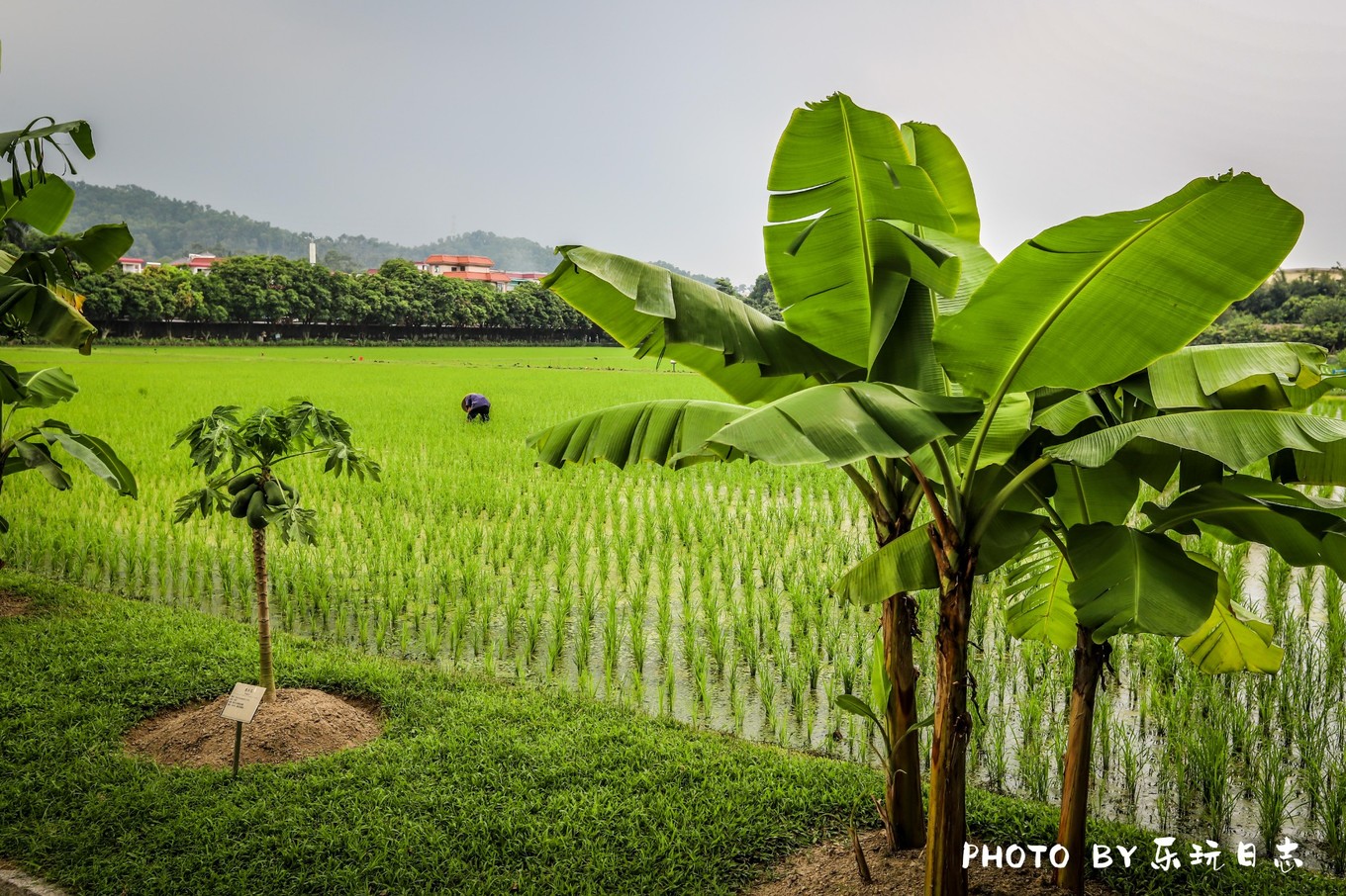 广东最美乡村两日游攻略图片,岭南古村落游玩