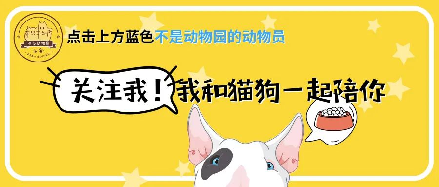 洗衣机里放什么可以去除猫毛,怎么用洗衣机洗掉衣服上的猫毛