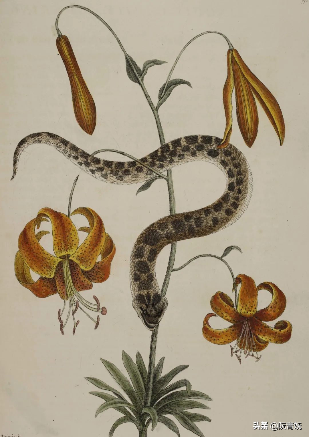 《花园的欢沁》：来自诗意与自然的邀请