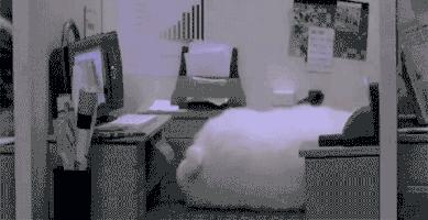 女性职场必修的5个方法,女人在职场上一定要学会这四点