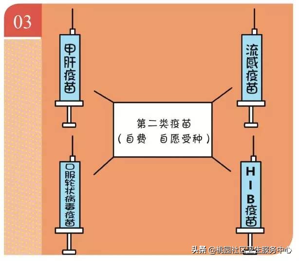 打完乙肝疫苗胳膊硬块红肿疼痛,打完脊灰疫苗后注射部位疼痛红肿