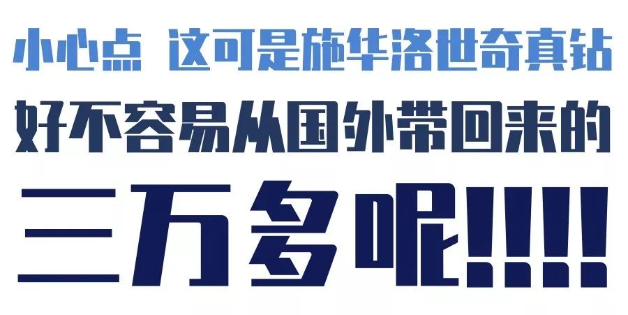 看到它3万块的项圈后，月薪3000的我瑟瑟发抖……