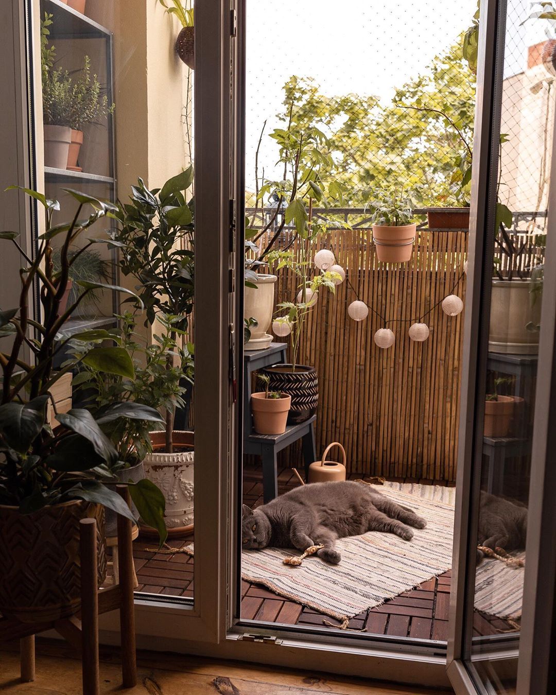 住森林里的体验,住在3200亩森林里是一种什么体验