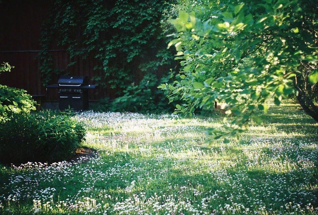 一年四季光阴流转的诗句,诗词陪我们走过人生的四季