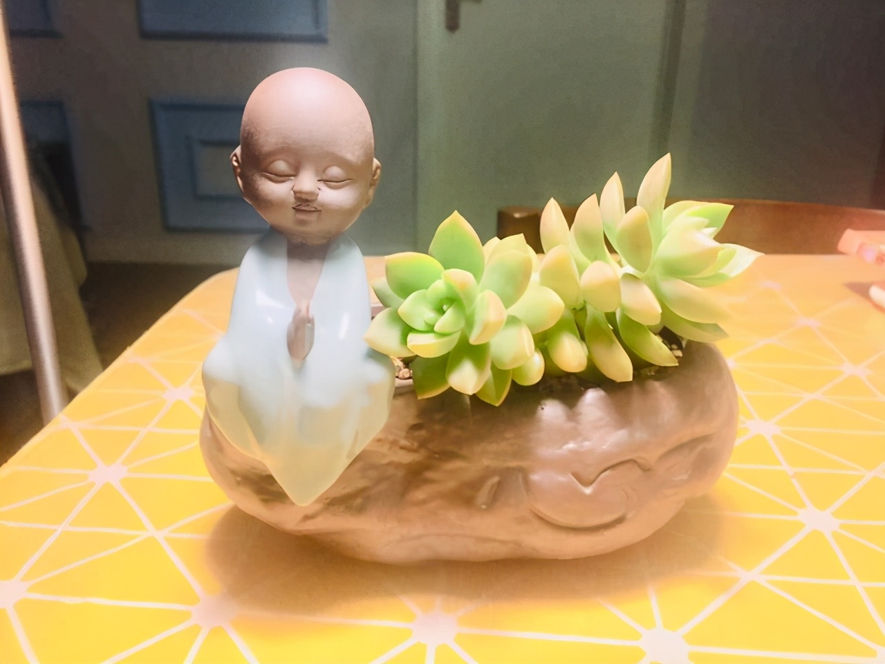 10种多肉天生爱徒长,不能“宠”着养,虐一虐才漂亮