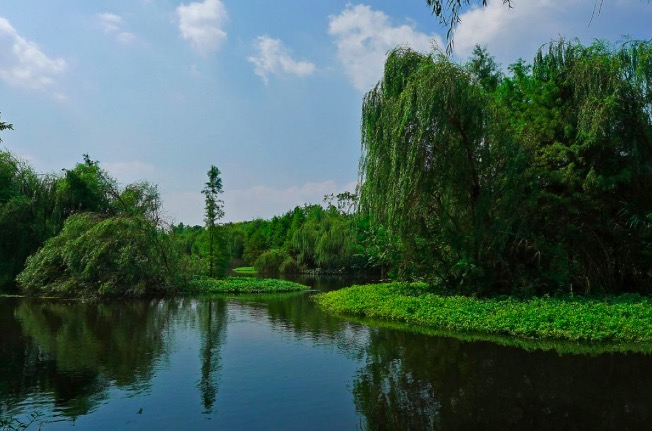 王安石最好的10首诗,王安石经典诗十首