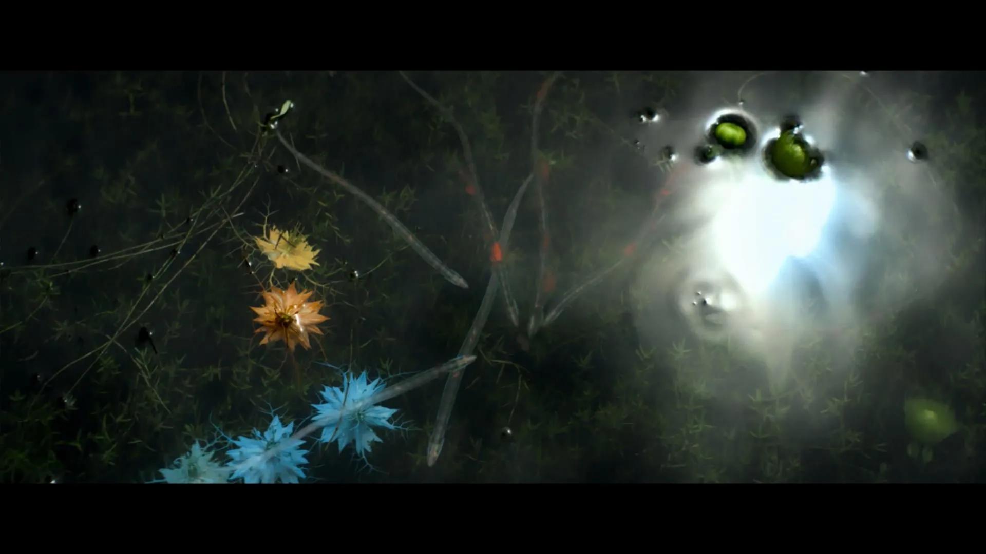 湮灭电影深度解析,湮灭电影到底湮灭了什么