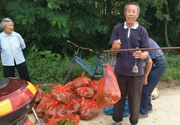 舒城城关镇：大棚里，一份关爱，十份收获