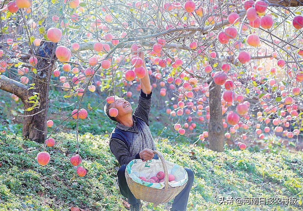 挣脱大山,挣脱大山的束缚