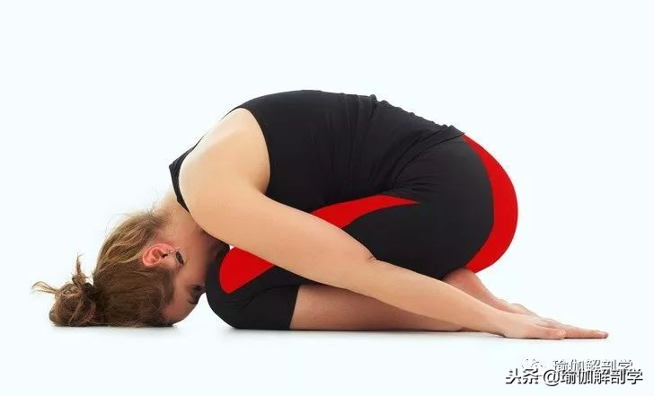 瑜伽基础体式初学者,100个基础体式图