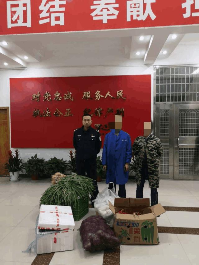 赣县惊现“真人版偷菜”,雌雄双盗凉凉落网