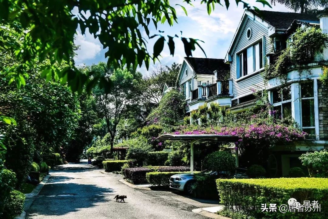 青剑湖新楼盘即将开盘,青剑湖新楼盘最新消息