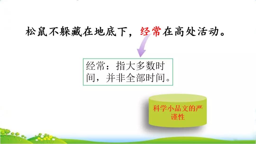 五年级语文第17课松鼠讲解,五年级上册第17课松鼠教材详解