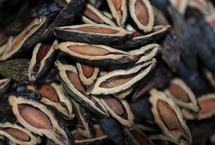 吃槟榔多后对口腔有什么影响,槟榔对我们身体有多大的危害