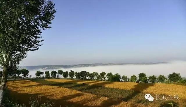 我在长武刚刚好,何必羡慕北上广