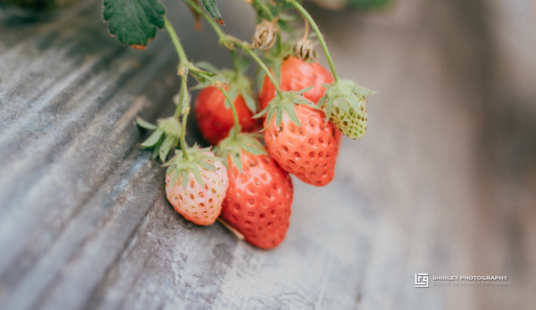 安藤忠雄建筑细节作品集,安藤忠雄代表作品介绍图文