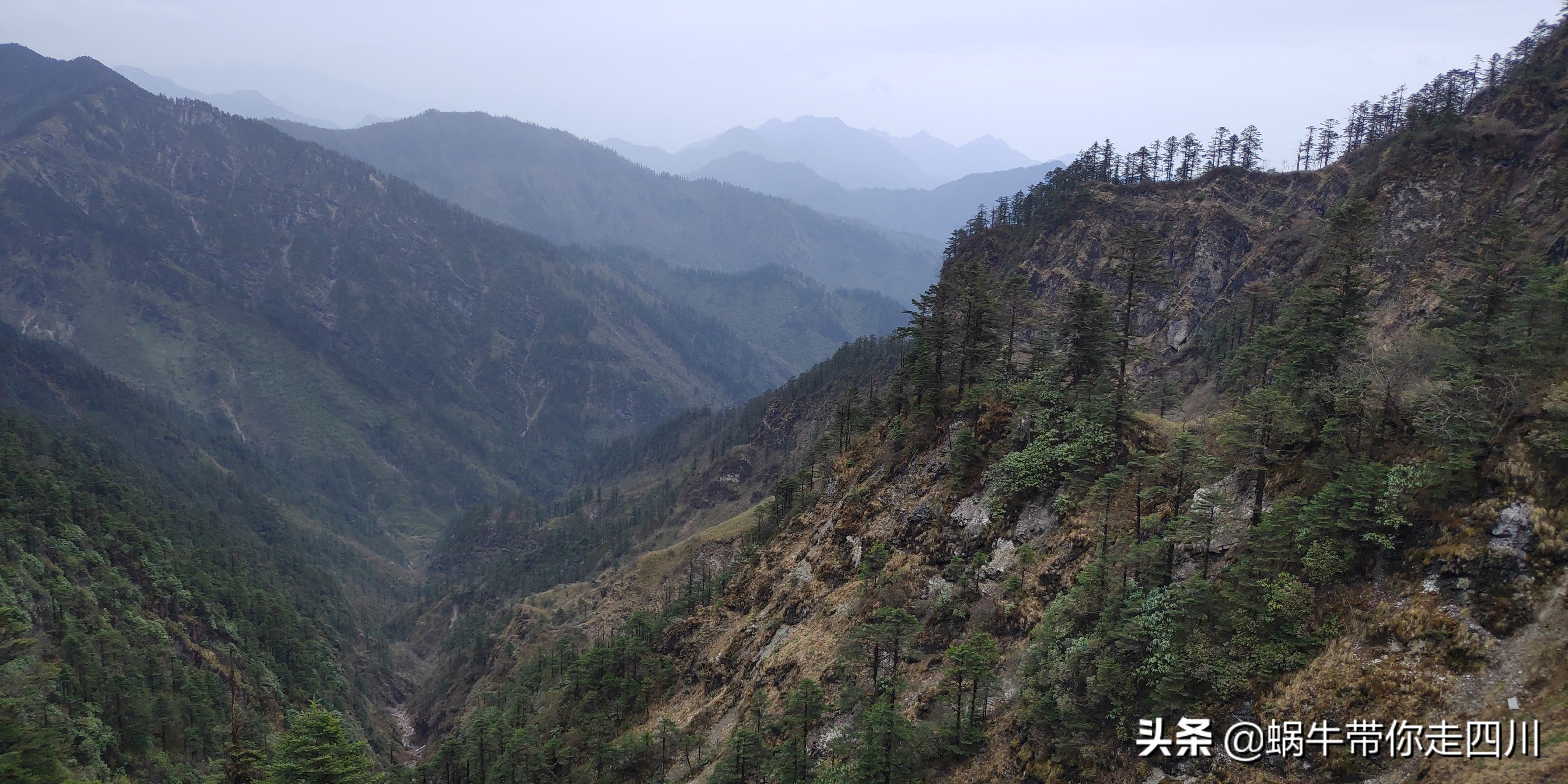 成都去西岭雪山两天一夜旅游团,成都出发雪山旅游