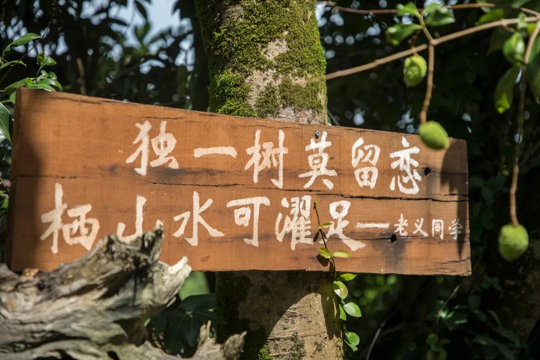 探访林溪山涧的森居之旅,长泰之旅