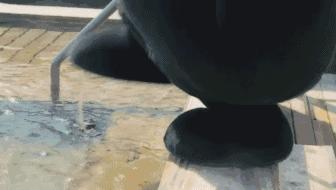 清远温泉排名前十名,清远真温泉私人室内温泉