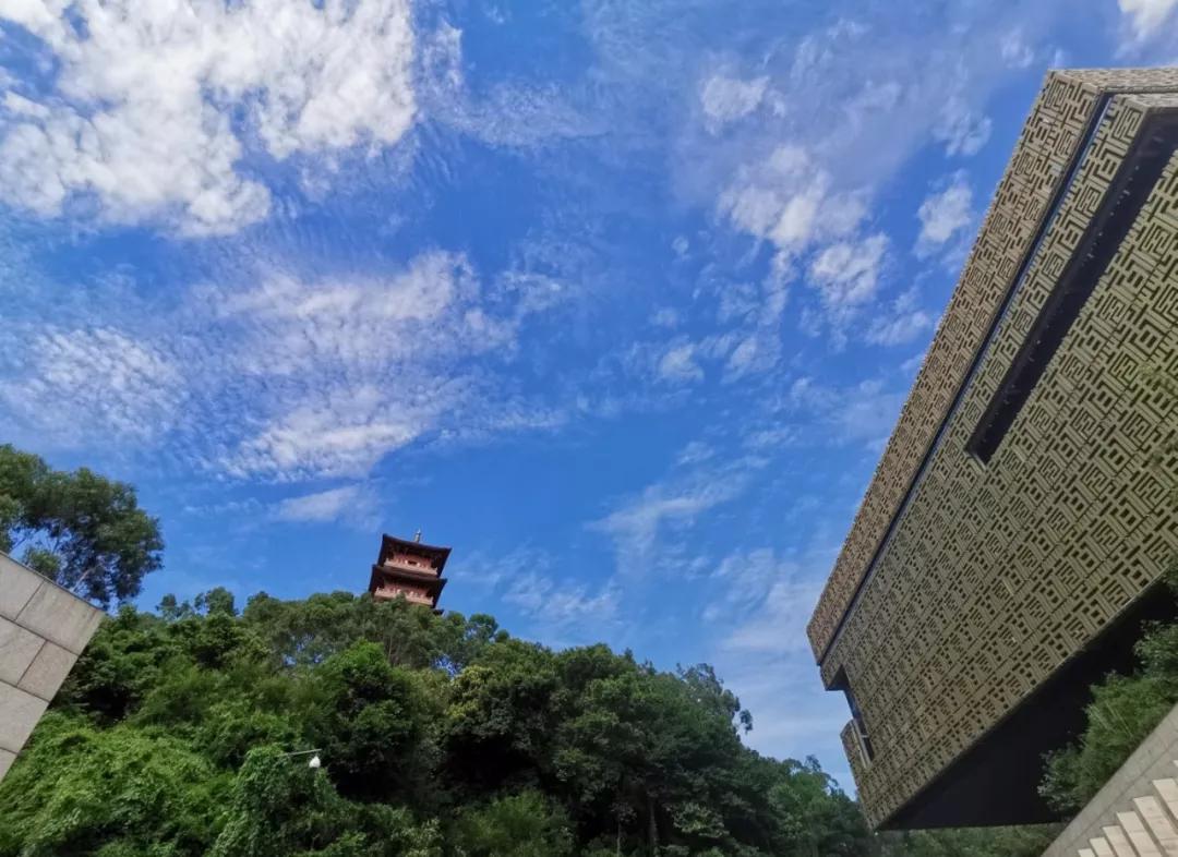 「无香的岭南」东莞之香