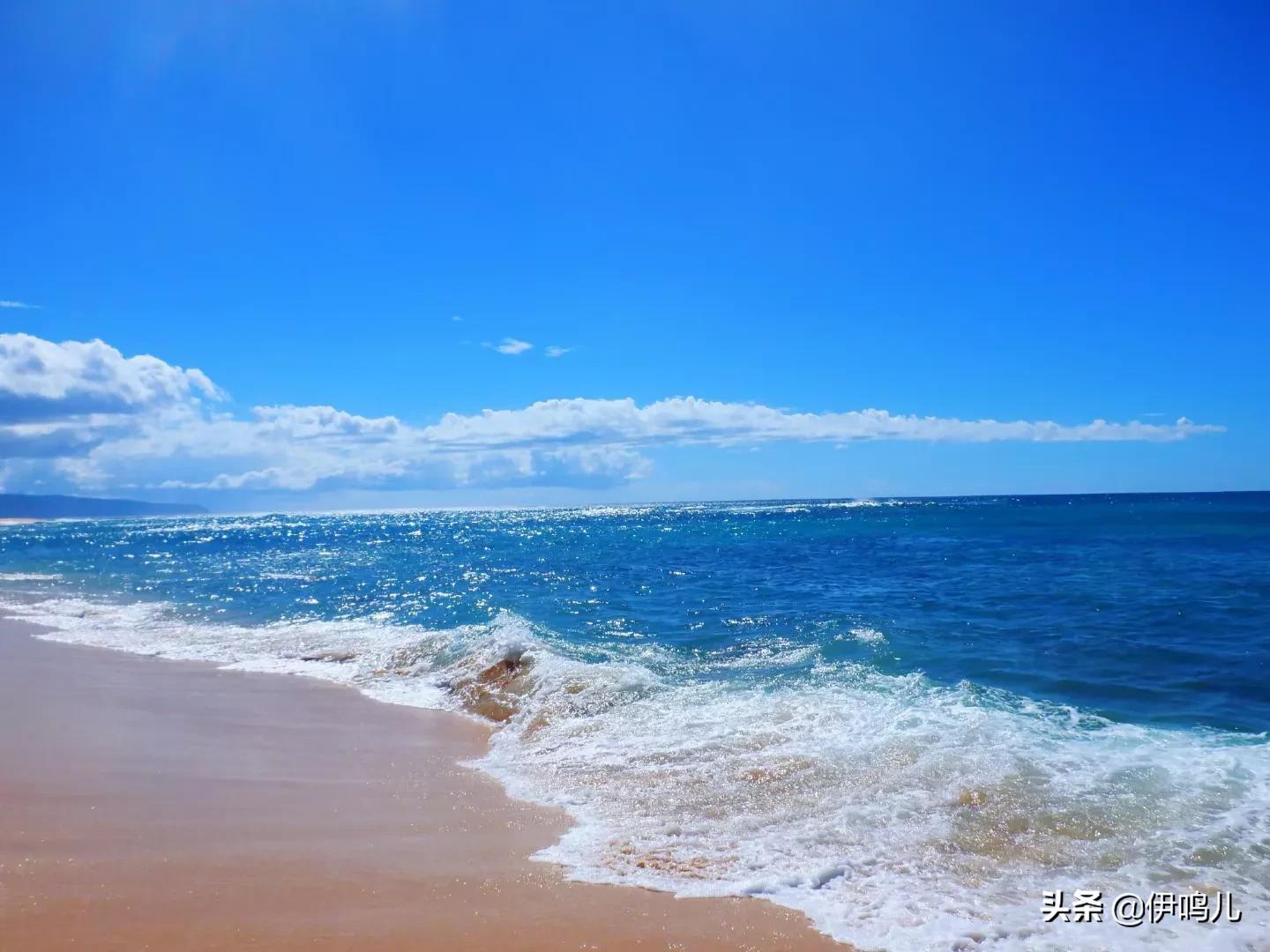 今天是个好日子广场舞完整版,今天是个好日子