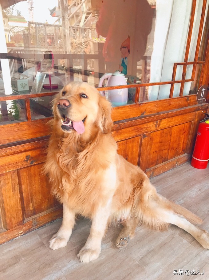 丽江的高颜值客栈逆天了，住一圈连回家的路费都省了！文末有福利