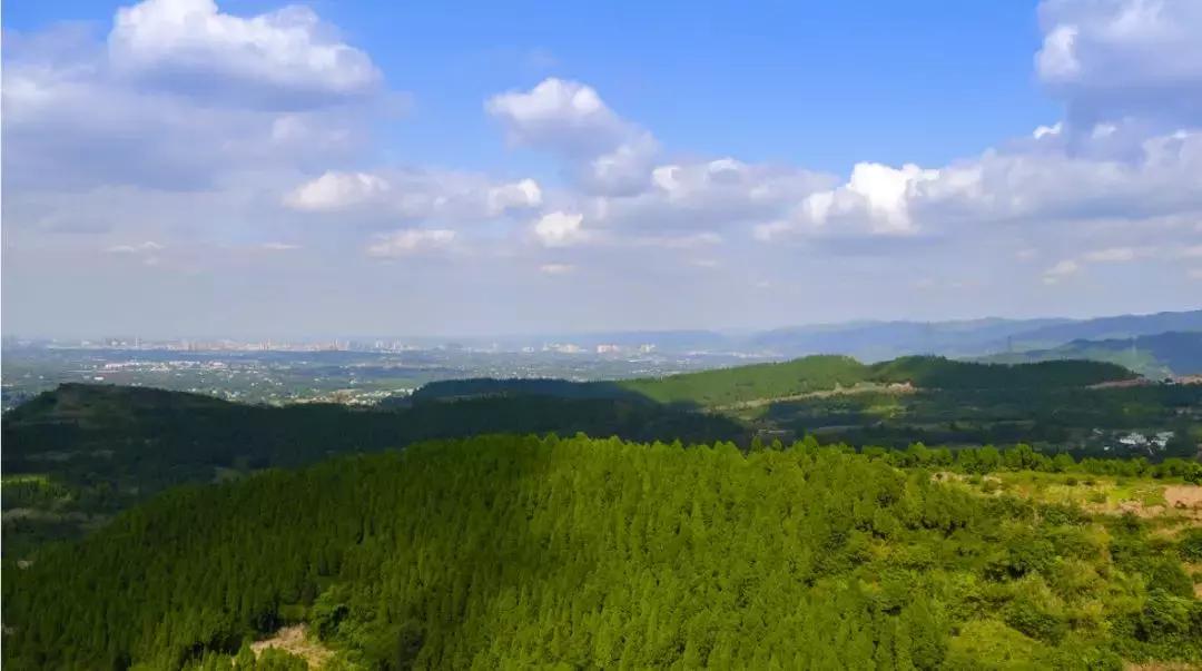 青白江，你凭什么上榜4个“全国百强”？