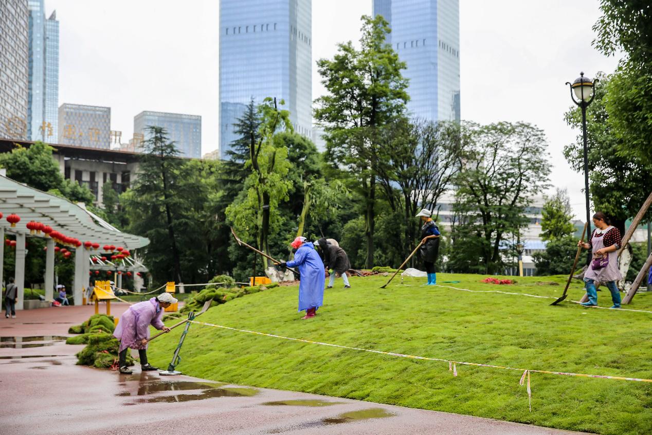 花果园湿地公园草坪,花果园湿地公园阳光草坪