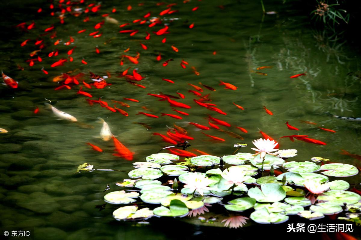 转运时真的可以转运吗,转运当天最好做些什么