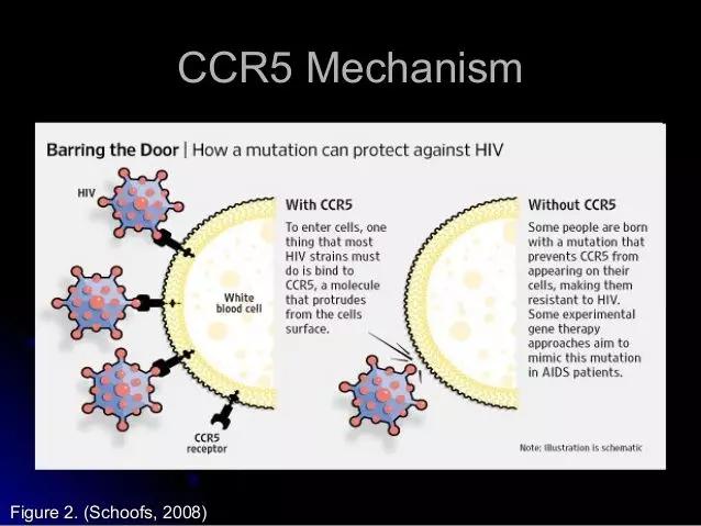 全球第5位艾滋病治愈者出现,全球第2例艾滋病自愈者